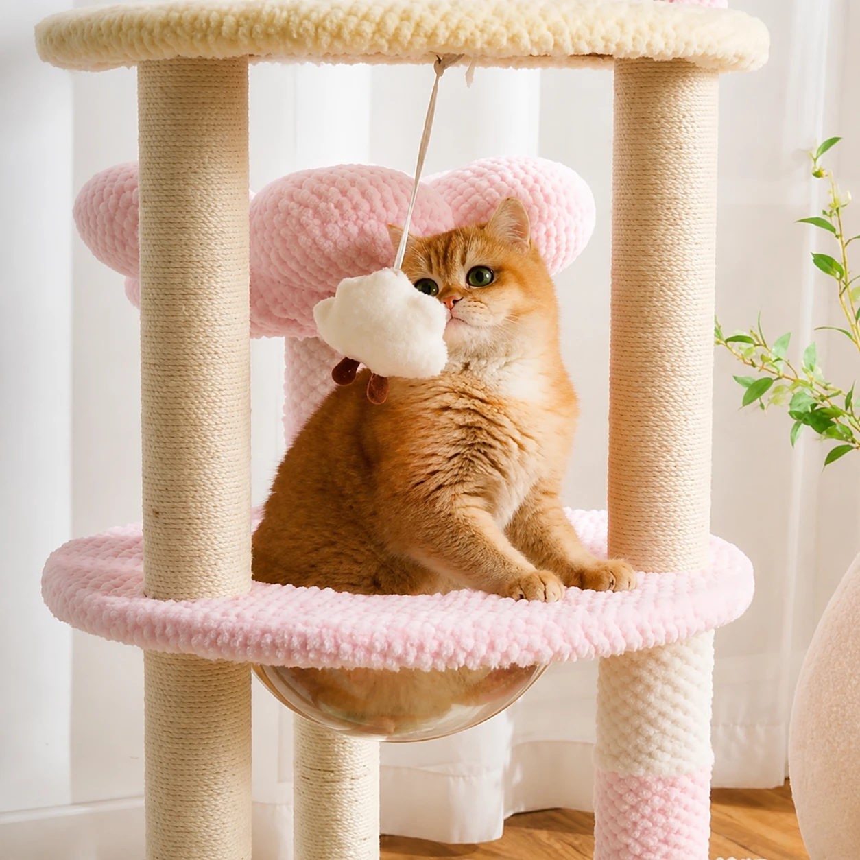Macaron Flower Space-Pod Multi-Level Cat Tree YTP-2-00047