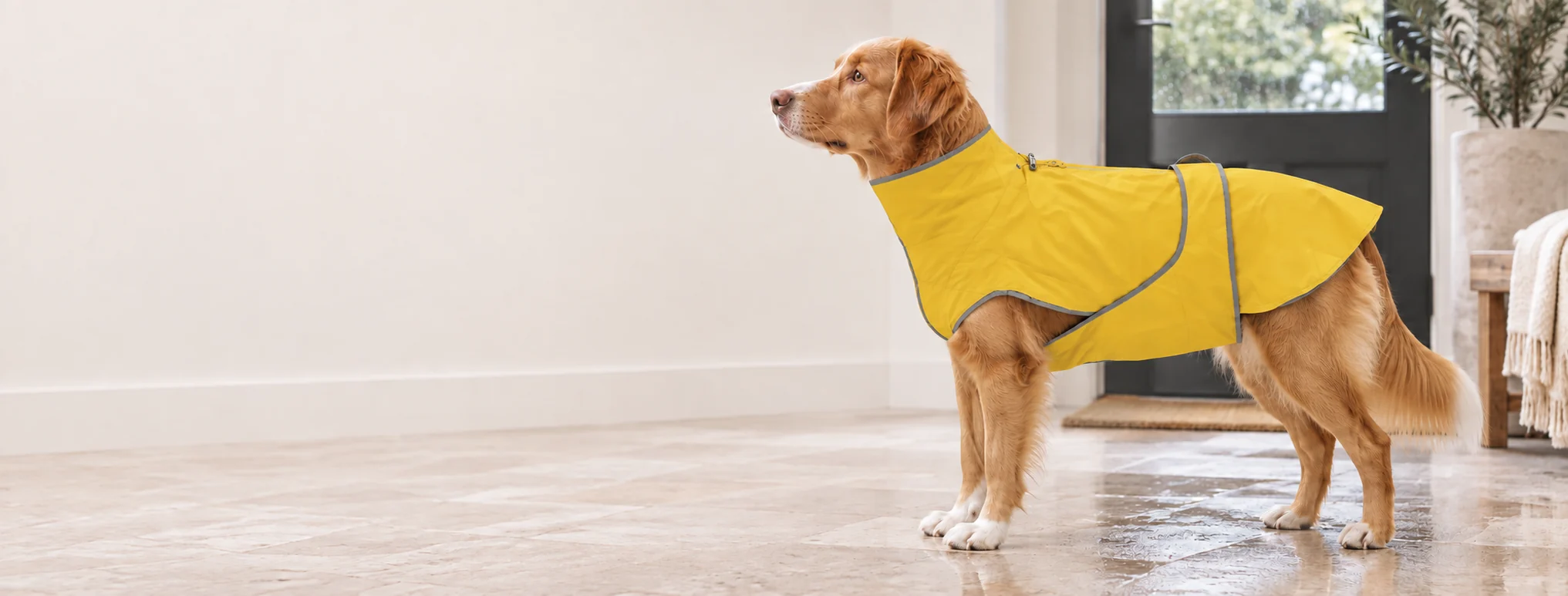 Polyester Dog Raincoat with Contrast Trim — HBYT YTP-10-00006